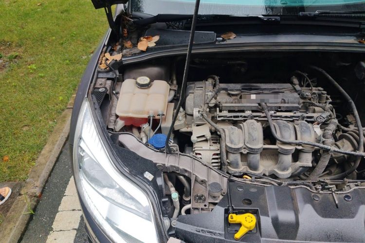Used Ford Focus 2012 Sedan 1.6L Manual Comfort Model Engine Bay Right