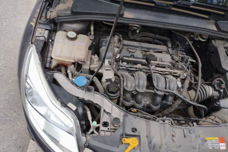 Used Ford Focus 2012 Sedan 1.6L Automatic Fashion Edition Engine Bay Right