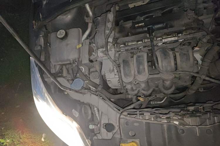 Used Ford Focus 2012 Sedan 1.6L Manual Comfort Model Engine Bay Right