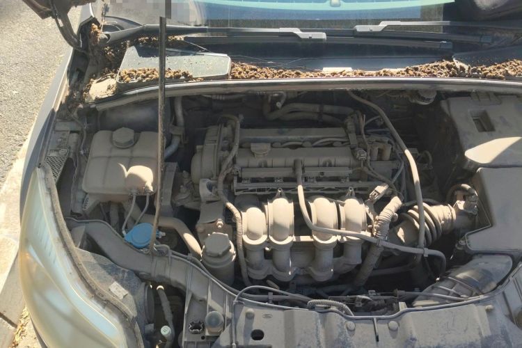 Used Ford Focus 2012 Sedan 1.6L Automatic Fashion Edition Engine Bay Right
