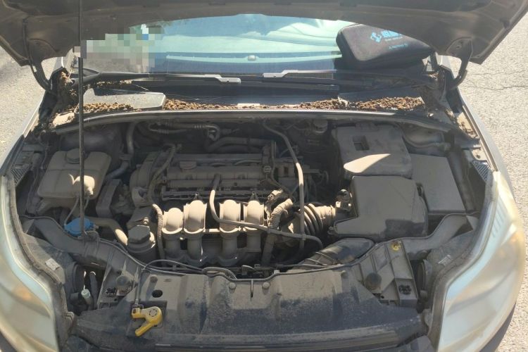 Used Ford Focus 2012 Sedan 1.6L Automatic Fashion Edition Engine Bay