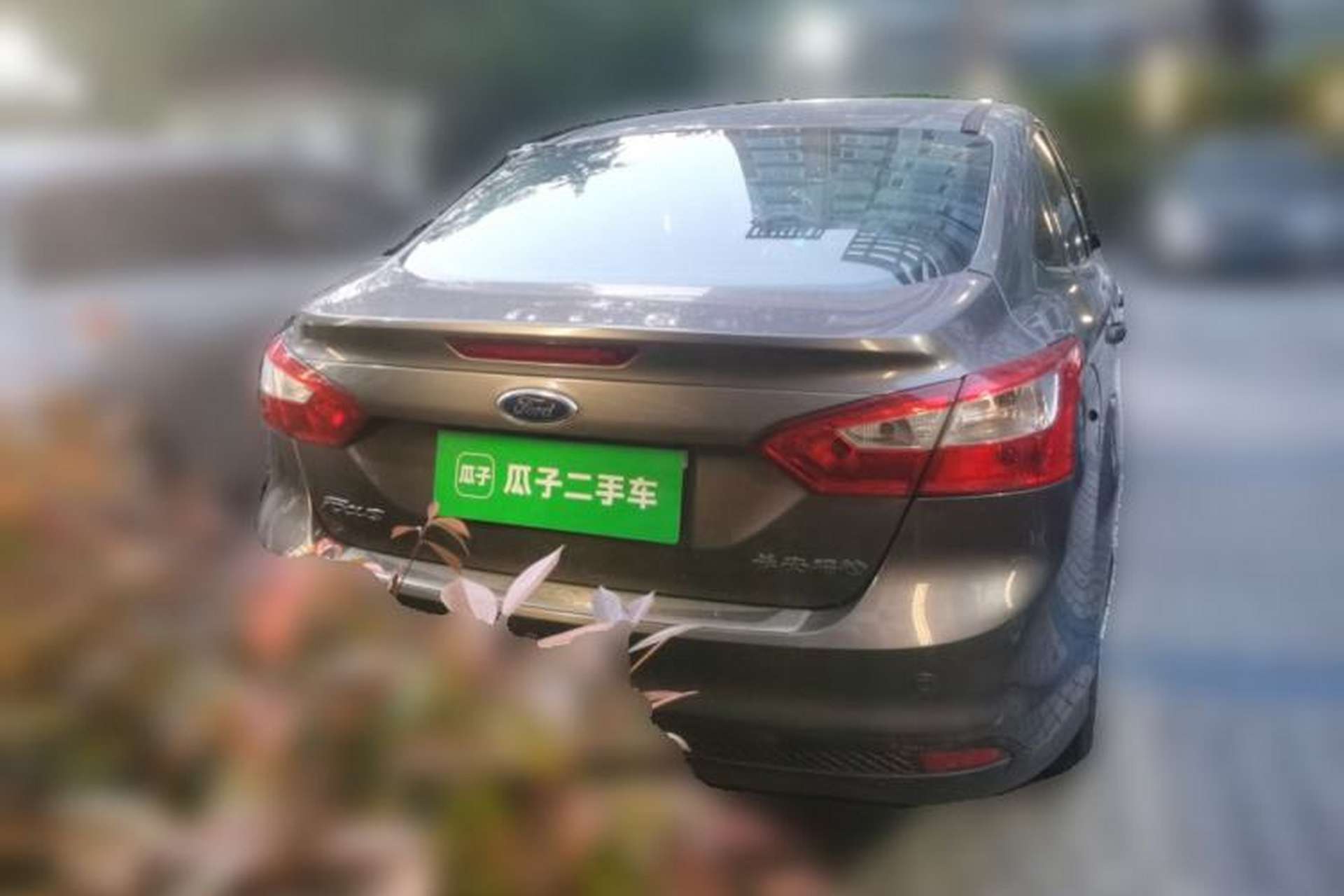 Used Ford Focus 2012 Sedan 1.6L Manual Fashion Edition Rear