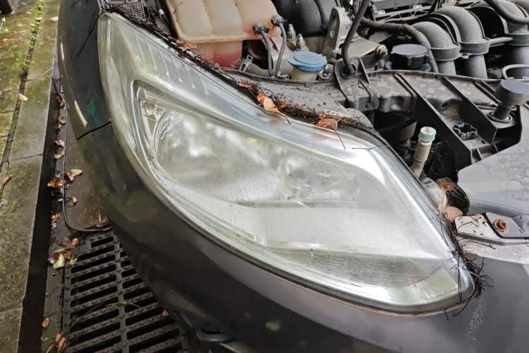 Used Ford Focus 2012 Sedan 1.6L Automatic Comfort Model Right Front Headlight
