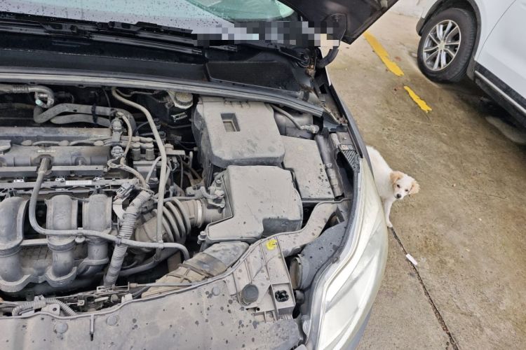 Used Ford Focus 2012 Sedan 1.6L Automatic Comfort Model Engine Bay Left
