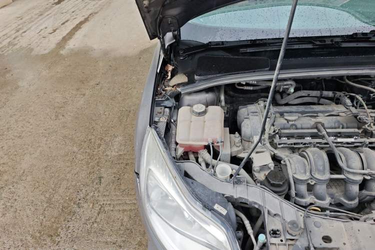 Used Ford Focus 2012 Sedan 1.6L Automatic Comfort Model Engine Bay Right