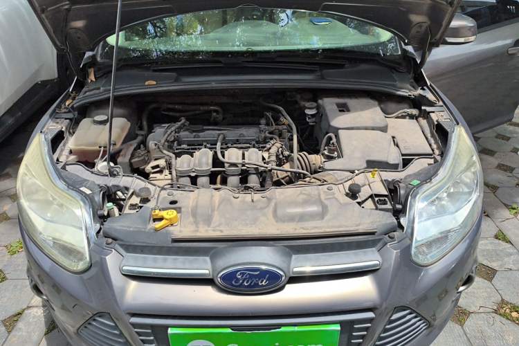 Used Ford Focus 2012 Sedan 1.6L Manual Fashion Edition Engine Bay