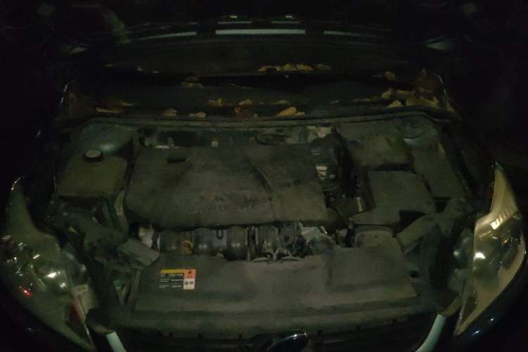 Used Ford Focus 2012 Sedan Classic 1.8L Manual Base Model Engine Bay