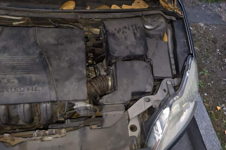 Used Ford Focus 2012 Sedan Classic 1.8L Manual Base Model Engine Bay Left