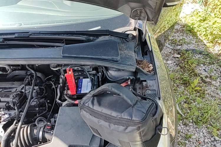 Used Ford Focus 2012 Sedan 1.6L Manual Fashion Edition Engine Bay Left