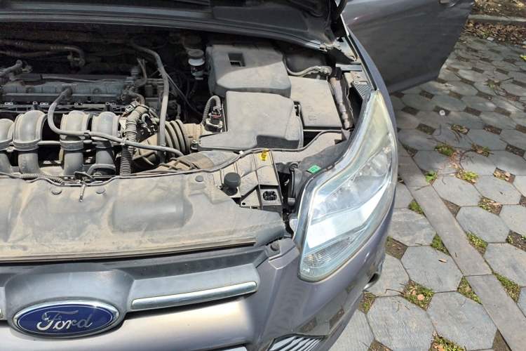 Used Ford Focus 2012 Sedan 1.6L Manual Fashion Edition Engine Bay Left