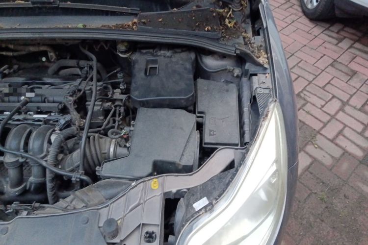 Used Ford Focus 2012 Sedan 1.6L Automatic Fashion Edition Engine Bay Left