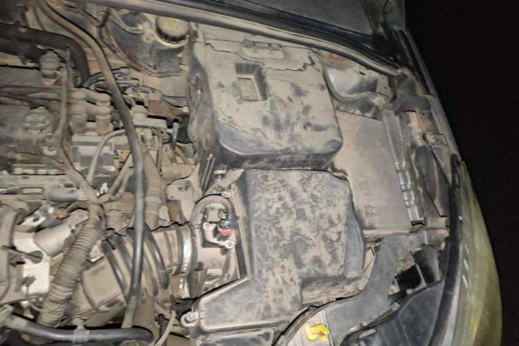 Used Ford Focus 2012 Sedan 1.6L Automatic Prestige Model Engine Bay Left