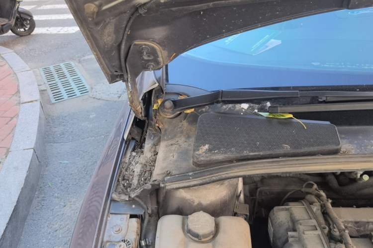 Used Ford Focus 2012 Sedan 1.6L Manual Fashion Edition Engine Bay Right