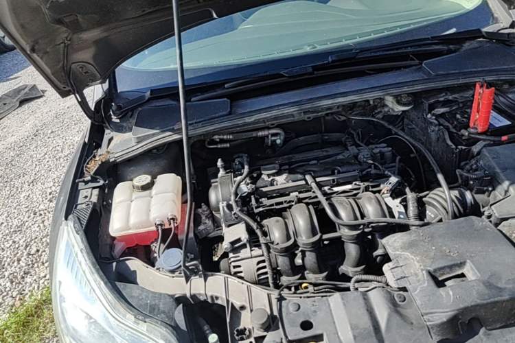 Used Ford Focus 2012 Sedan 1.6L Manual Fashion Edition Engine Bay Right