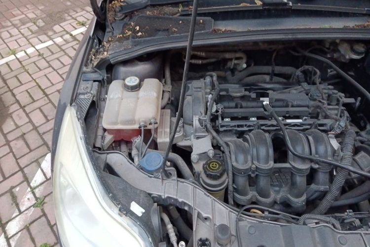 Used Ford Focus 2012 Sedan 1.6L Automatic Fashion Edition Engine Bay Right