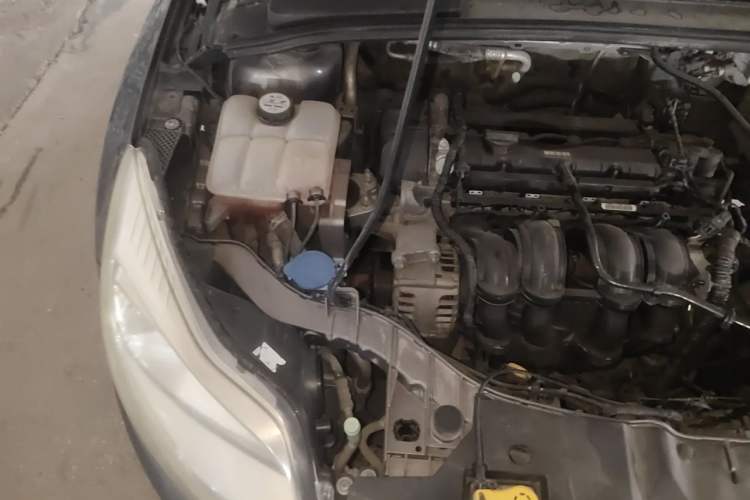 Used Ford Focus 2012 Sedan 1.6L Manual Fashion Edition Engine Bay Right