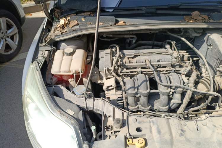 Used Ford Focus 2012 Sedan 1.6L Manual Comfort Model Engine Bay Right