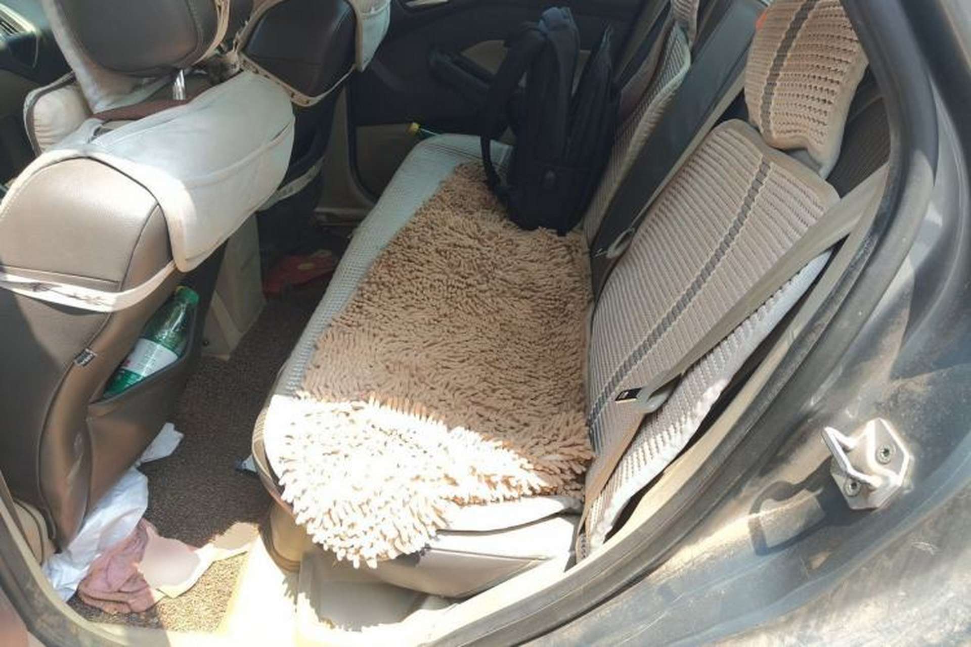 Used Ford Focus 2012 Sedan 1.6L Manual Fashion Edition Left Rear Seat