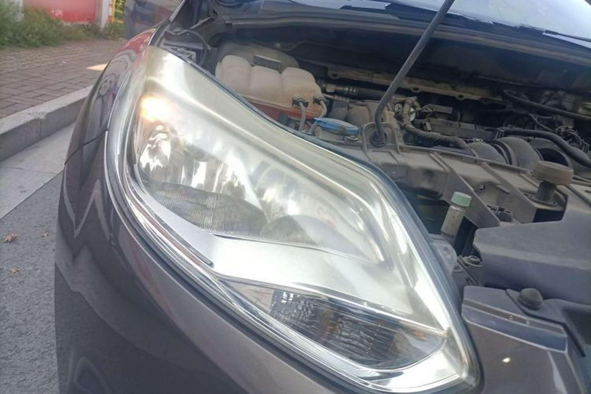 Used Ford Focus 2012 Sedan 1.6L Automatic Fashion Edition Right Front Headlight
