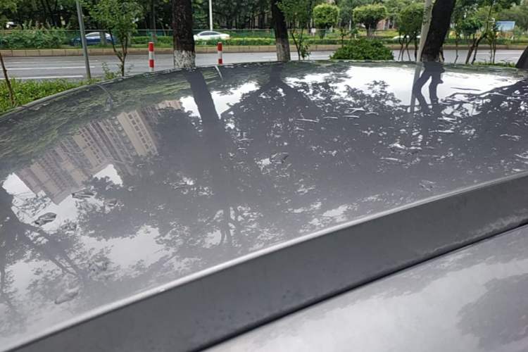 Used Ford Focus 2012 Sedan 1.6L Automatic Comfort Model Roof
