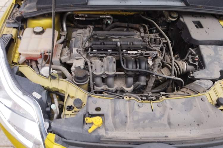 Used Ford Focus 2012 Hatchback 1.6L Automatic Fashion Edition Engine Bay Right