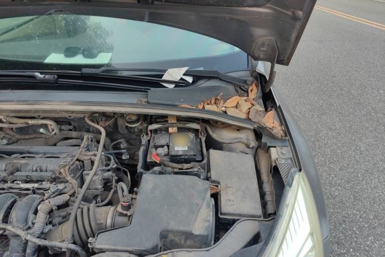 Used Ford Focus 2012 Sedan 1.6L Manual Comfort Model Engine Bay Left