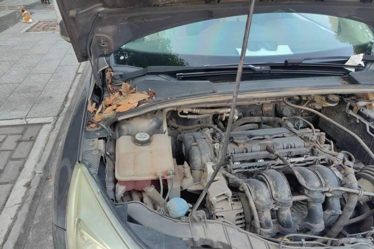 Used Ford Focus 2012 Sedan 1.6L Manual Comfort Model Engine Bay Right
