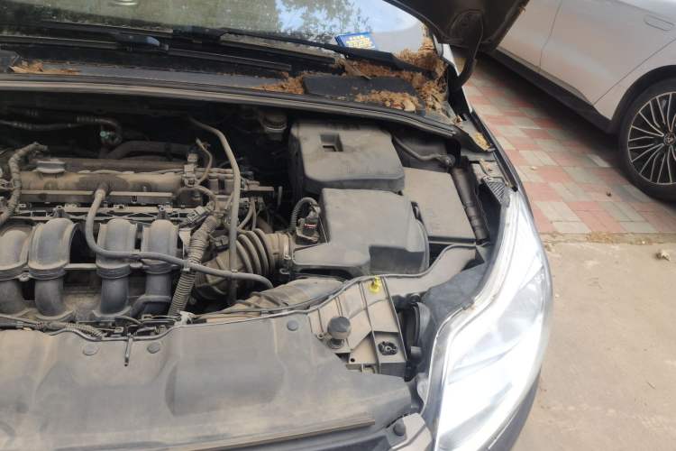 Used Ford Focus 2012 Sedan 1.6L Automatic Comfort Model Engine Bay Left