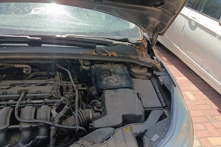 Used Ford Focus 2012 Sedan 1.6L Automatic Fashion Edition Engine Bay Left