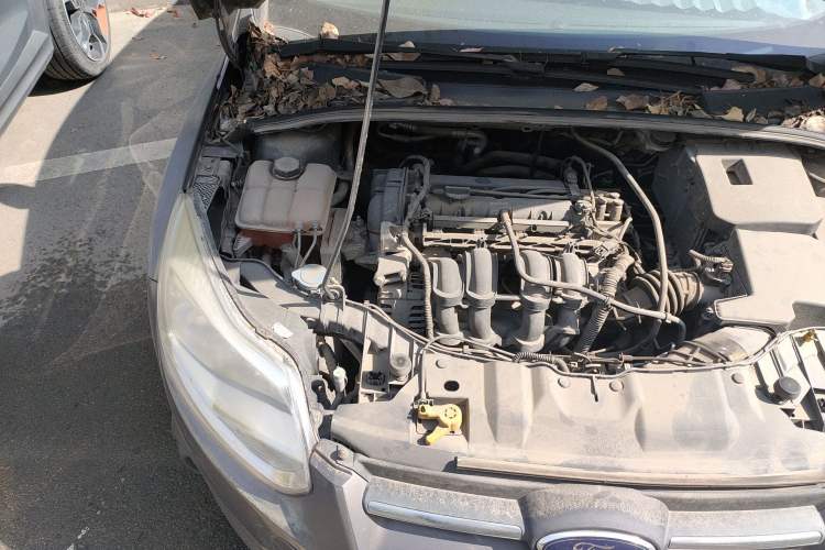 Used Ford Focus 2012 Sedan 1.6L Manual Comfort Model Engine Bay Right