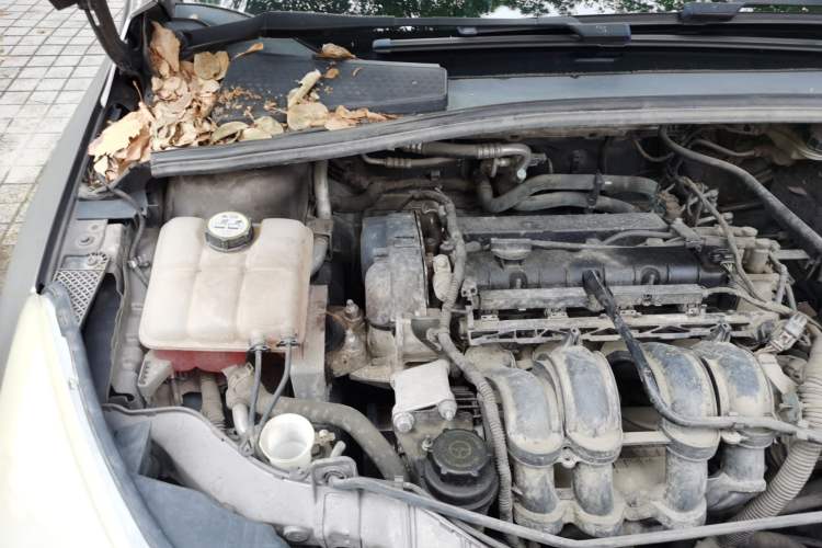 Used Ford Focus 2012 Sedan 1.6L Automatic Comfort Model Engine Bay Right