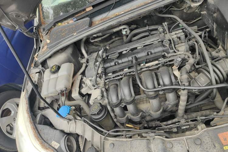 Used Ford Focus 2012 Sedan 1.6L Automatic Fashion Edition Engine Bay Right