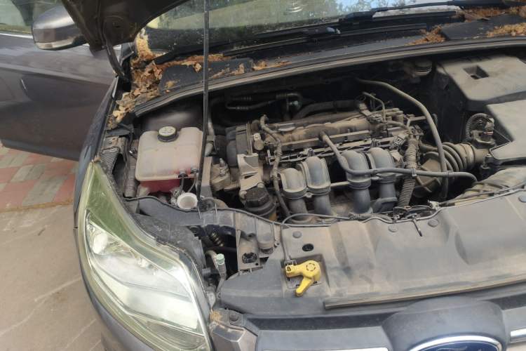 Used Ford Focus 2012 Sedan 1.6L Automatic Comfort Model Engine Bay Right