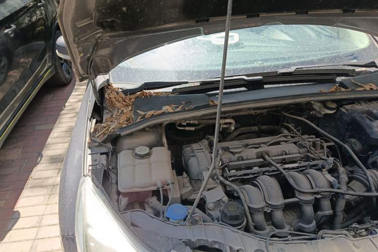 Used Ford Focus 2012 Sedan 1.6L Automatic Fashion Edition Engine Bay Right