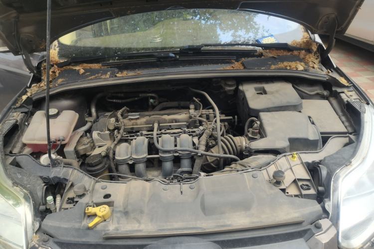 Used Ford Focus 2012 Sedan 1.6L Automatic Comfort Model Engine Bay