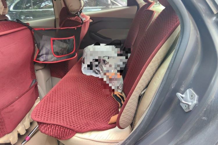 Used Ford Focus 2012 Sedan 1.6L Automatic Comfort Model Left Rear Seat