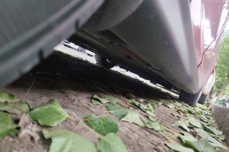 Used Ford Focus 2012 Hatchback 1.6L Manual Fashion Edition Chassis Rear Right