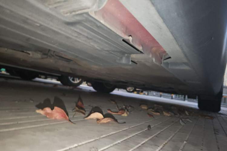 Used Ford Focus 2012 Hatchback 1.6L Automatic Comfort Model Chassis Rear Right