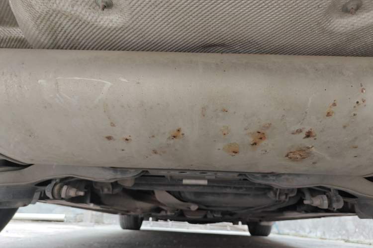 Used Ford Focus 2012 Hatchback 1.6L Automatic Comfort Model Chassis Rear