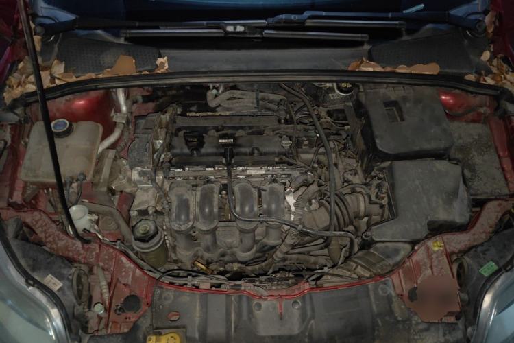 Used Ford Focus 2012 Hatchback 1.6L Automatic Comfort Model Engine Bay