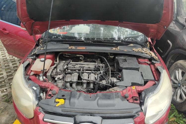Used Ford Focus 2012 Sedan 1.6L Manual Fashion Edition Engine Bay