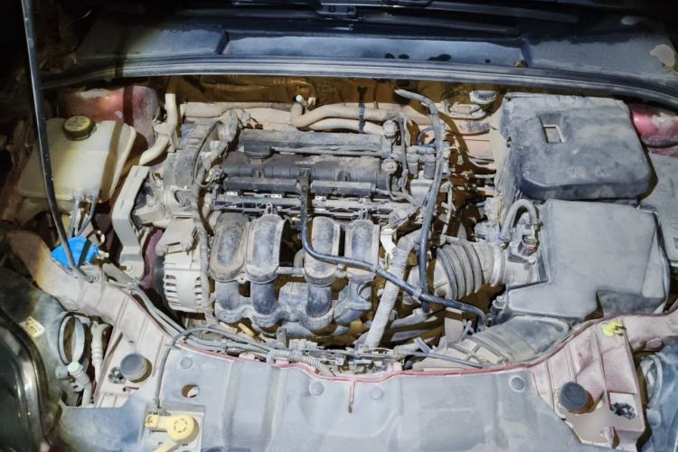 Used Ford Focus 2012 Sedan 1.6L Manual Fashion Edition Engine Bay