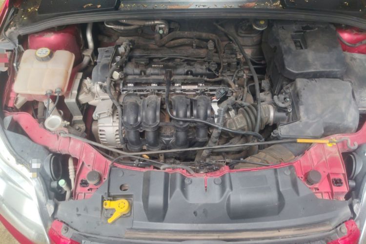 Used Ford Focus 2012 Sedan 1.6L Manual Fashion Edition Engine Bay