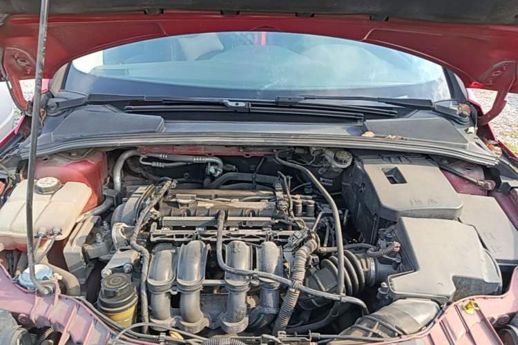Used Ford Focus 2012 Hatchback 1.6L Automatic Comfort Model Engine Bay
