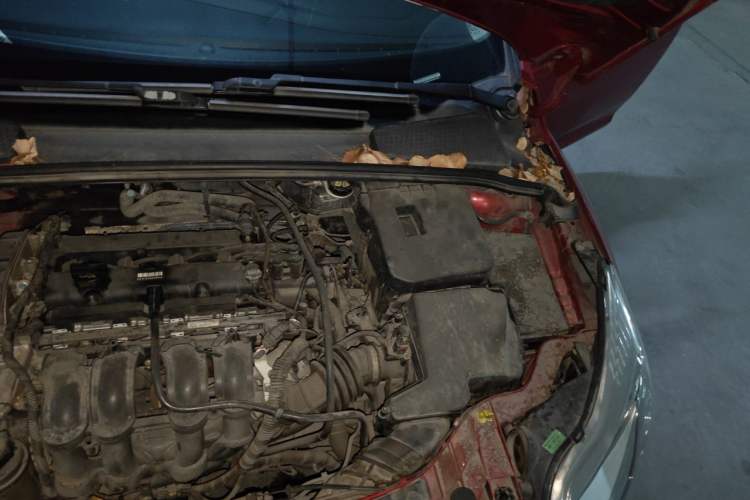 Used Ford Focus 2012 Hatchback 1.6L Automatic Comfort Model Engine Bay Left