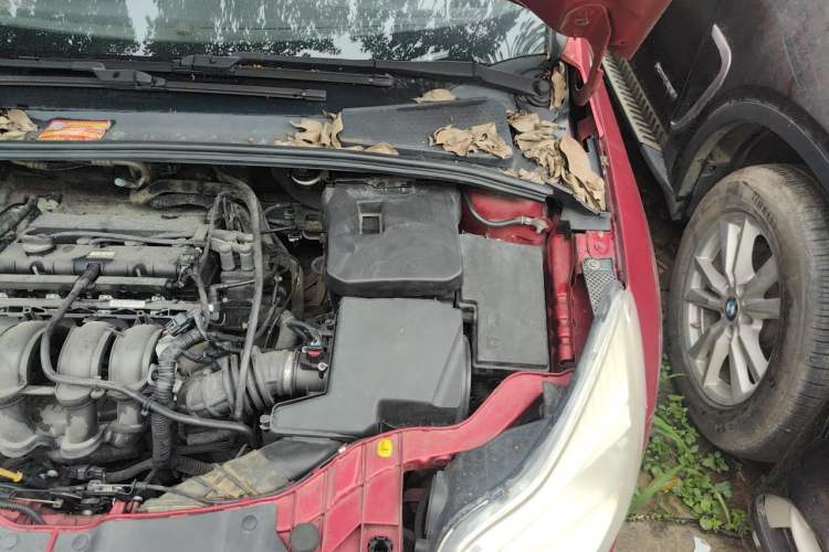 Used Ford Focus 2012 Sedan 1.6L Manual Fashion Edition Engine Bay Left