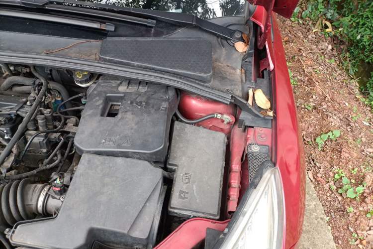 Used Ford Focus 2012 Hatchback 1.6L Automatic Fashion Edition Engine Bay Left