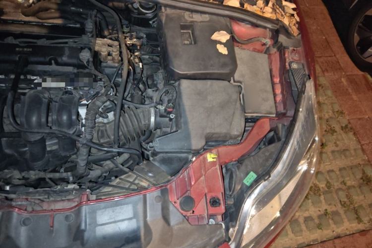 Used Ford Focus 2012 Sedan 1.6L Manual Fashion Edition Engine Bay Left