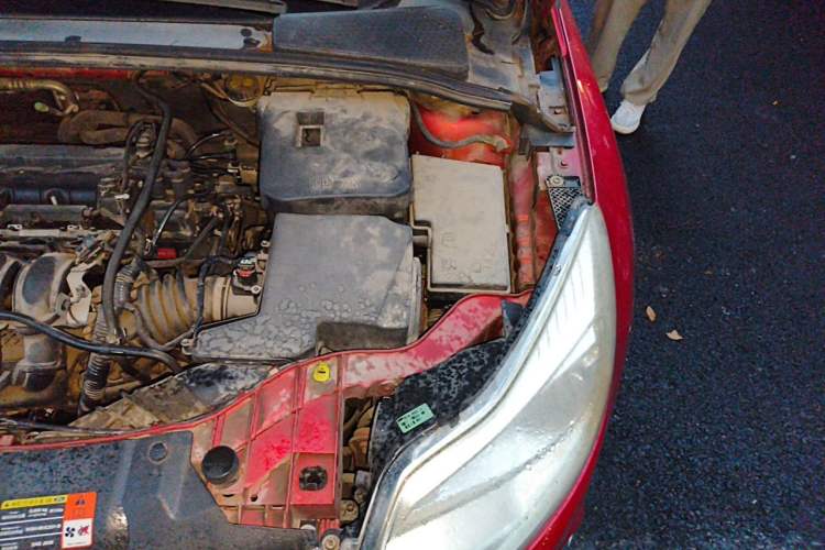 Used Ford Focus 2012 Sedan 1.6L Automatic Fashion Edition Engine Bay Left