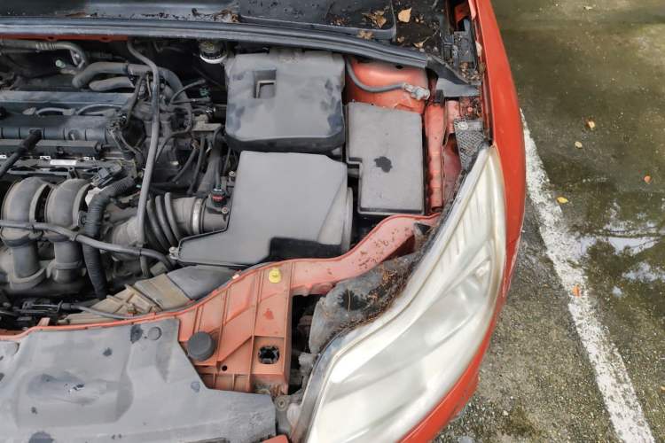Used Ford Focus 2012 Hatchback 1.6L Automatic Fashion Edition Engine Bay Left